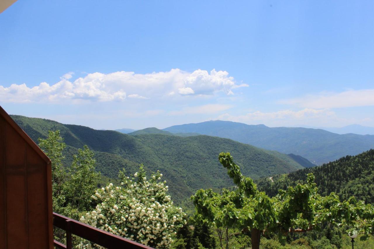 Elatou Hotel Ano Chora Luaran gambar