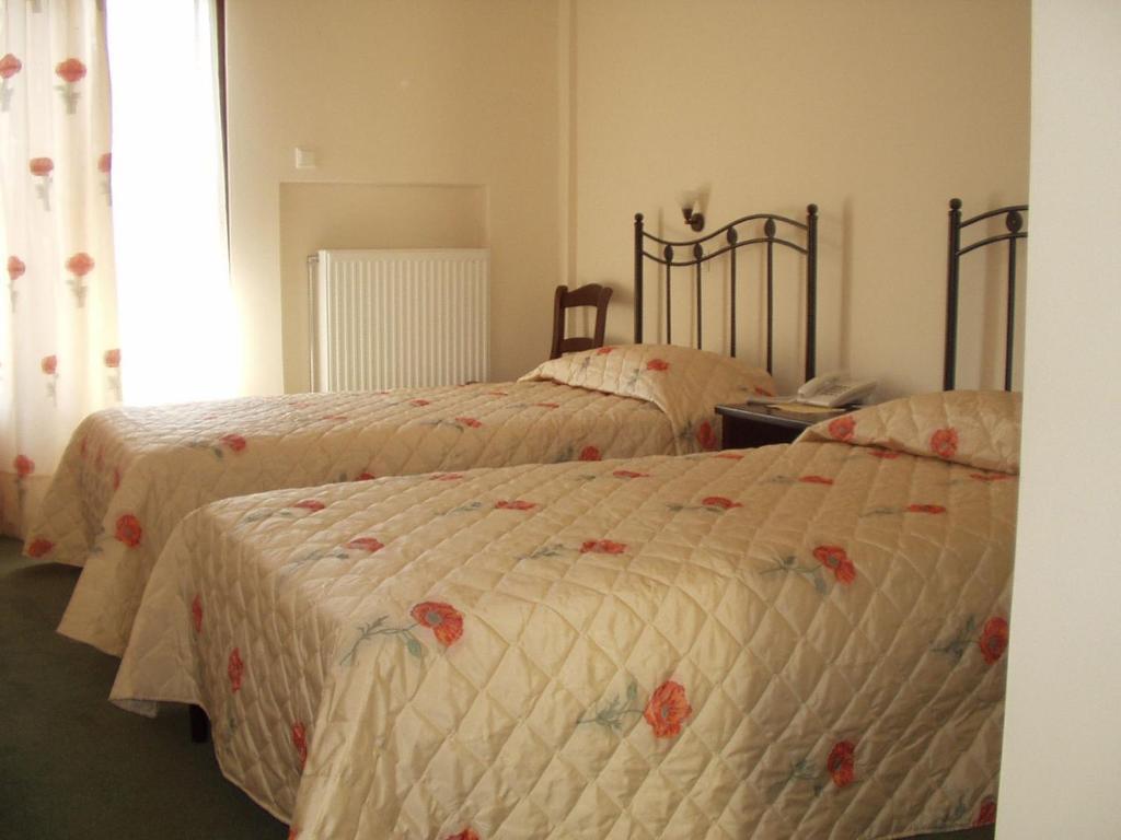 Elatou Hotel Ano Chora Bilik gambar